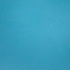 Meet your Posher, Lutrica